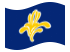 Brussels Flag