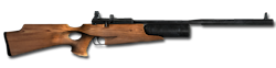 .22 Air Rifle