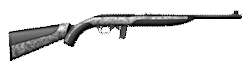 .22 Semi-Automatic Rifle