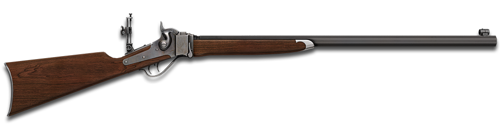 .45-70 Buffalo Rifle