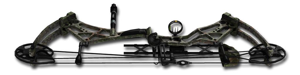 Compound Bow Pulsar