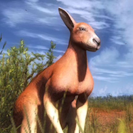 Red Kangaroo