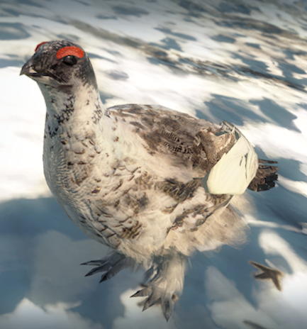 Rock Ptarmigan