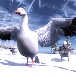 Snow Goose