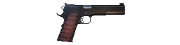 Handgun/Ammo 10mm