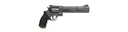 Handgun/Ammo .454